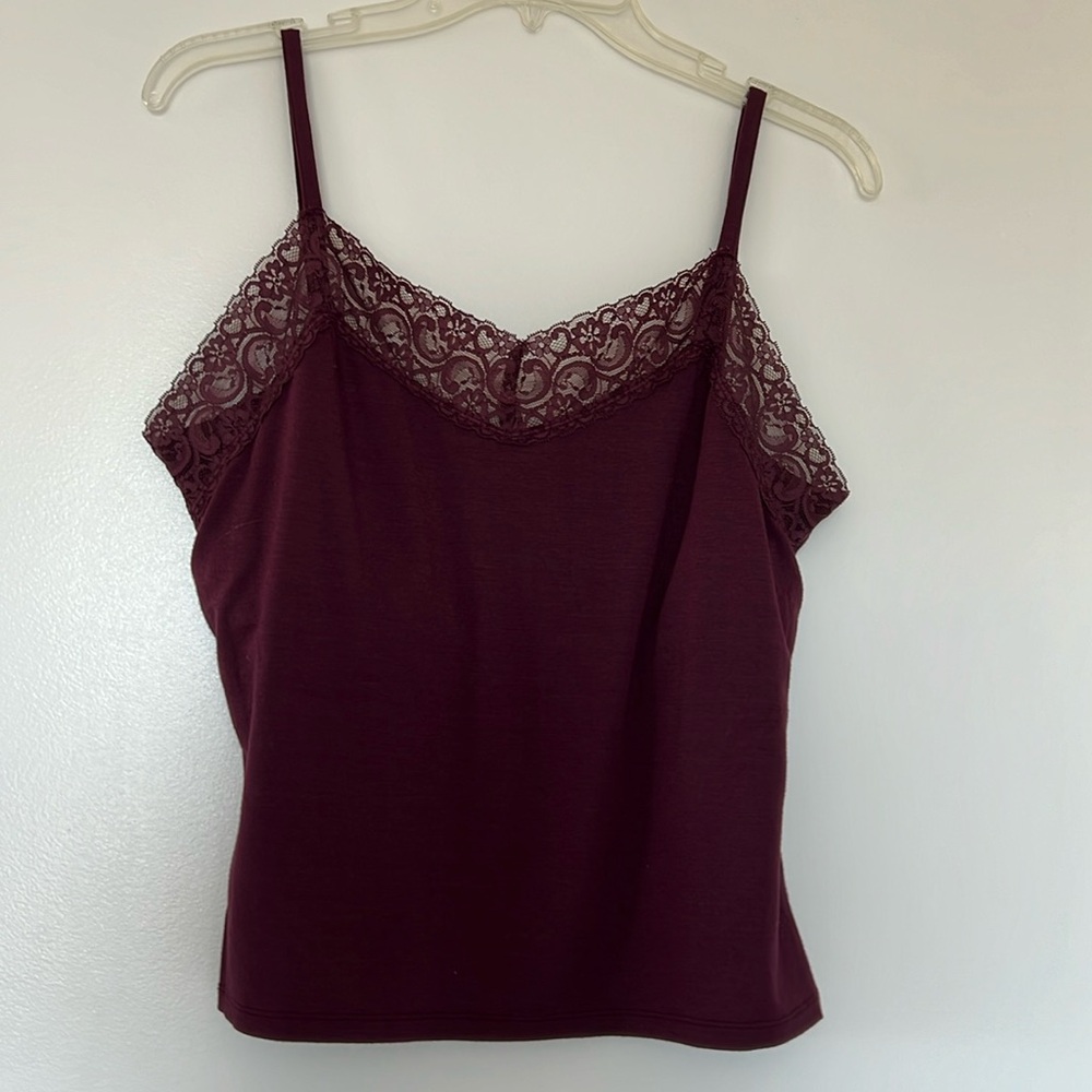 Two camisoles.  Dark burgundy one is partially lined. Size M. Blue one is size L
